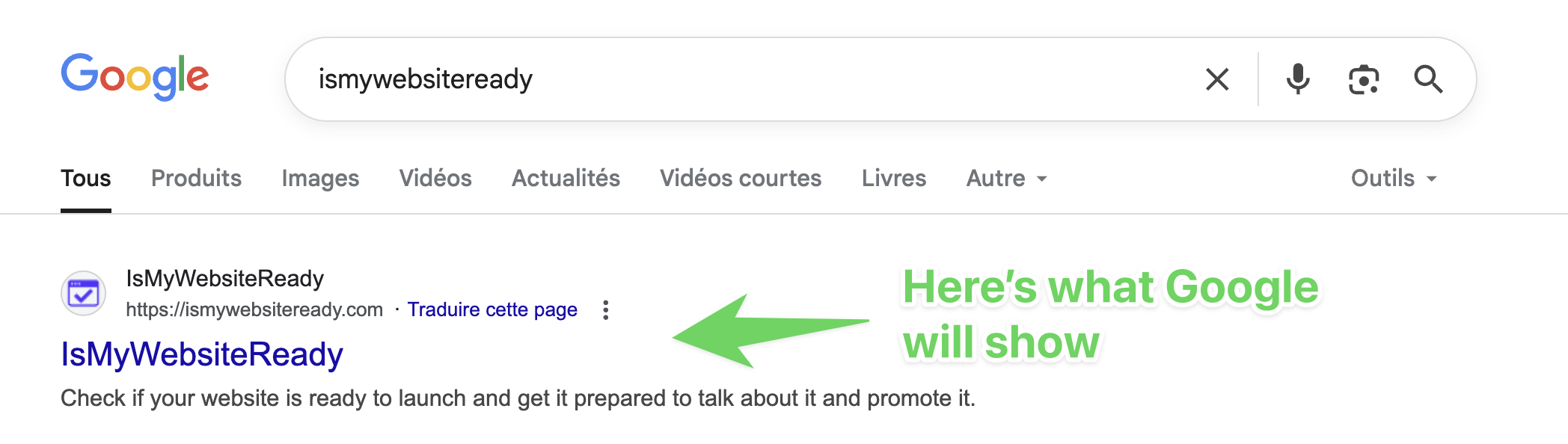 What Google show within the search What Google show within the search
